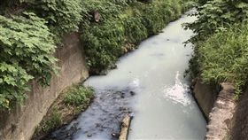 鳳山,牛奶河,愛河,韓國瑜,林智鴻