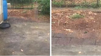 桃園大雷雨夾冰雹　民眾直呼超大顆