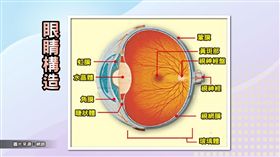 名家專用／每日健康（勿用）