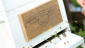▲Bentley Flying bees（圖／翻攝網路）