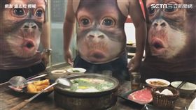 ▲穿大猩猩背心吹涼。（圖／網友盧志松 臉書 授權）