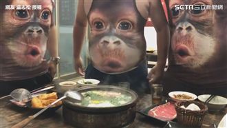 影／吃火鍋要吹涼！網友發明這樣吹