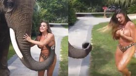 Francia James,花花公子,大象,襲胸,吸塵器,象鼻,比基尼, 圖/翻攝自YouTube 