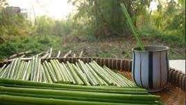 越南,植物吸管,蒲草。(圖/翻攝自推特)