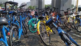 中國,共享,單車,素質,低落