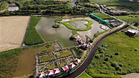 新北,體驗,金美,收割,兒童