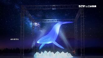 海灣燈光節將開跑！星光虹橋照亮澎湖