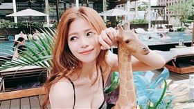 蘿莉塔（圖／IG）