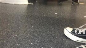 廁所,四腳獸,求婚,跪姿,爆廢公社　圖／翻攝自臉書爆廢公社