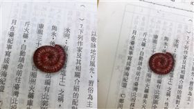 課本,手繪,馬陸,寫實,立體,Dcard　圖／翻攝自Dcard