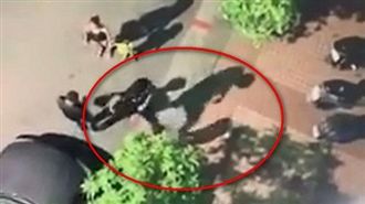 女童遭猛踹倒地　網友怒奔現場討公道