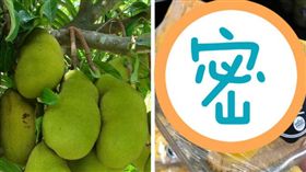 美國超市賣波羅蜜這樣切／臉書、維基百科