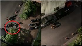 西螺,虐童,女童,家暴（圖／翻攝自《斗六人文社交圈》臉書）