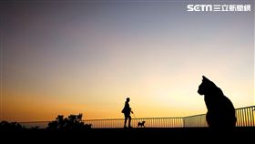 華為,華為新影像大賽,攝影展,大直ATT,HUAWEI,P30 Pro