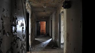 不知怕為何物？最適合住鬼屋星座曝光