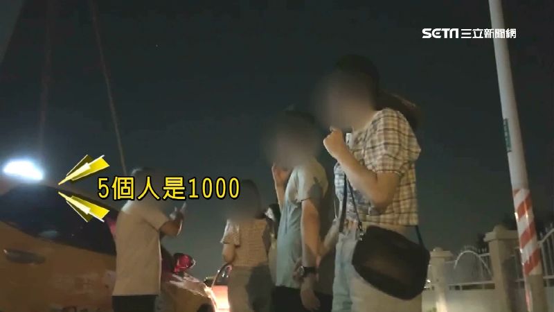 高美濕地小黃坑肥羊！單趟「一千元」