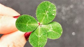 幸運示意圖。（圖／翻攝自unsplash）