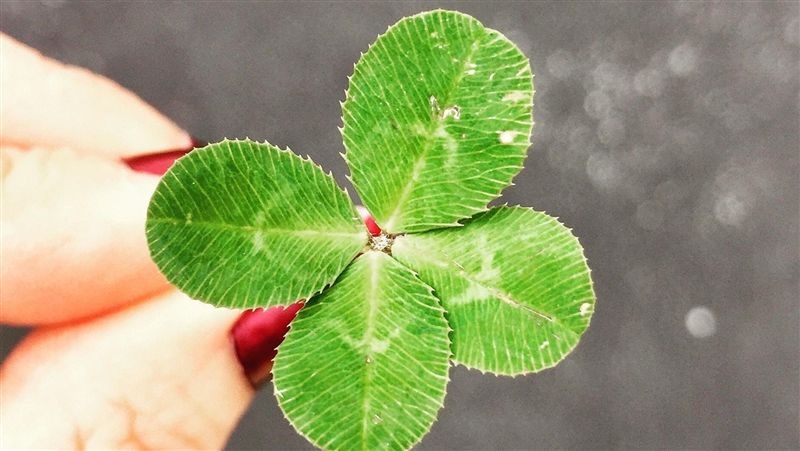 妳不是在遠離悲傷　而是正在走向幸福
