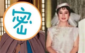 楊麗花,歌仔戲,忠孝節義/麗生百合提供、資料照