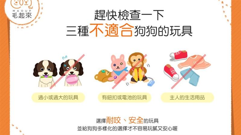 蝦密？！這3種玩具不適合狗狗？！