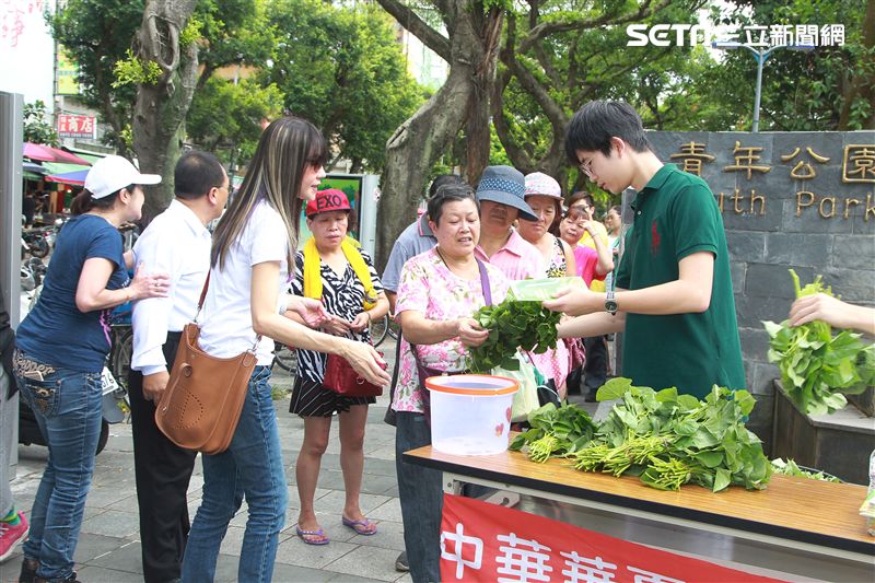 金瑞瑤獨子許凱文自己栽培有機地瓜葉義賣做公益。（記者邱榮吉/攝影）