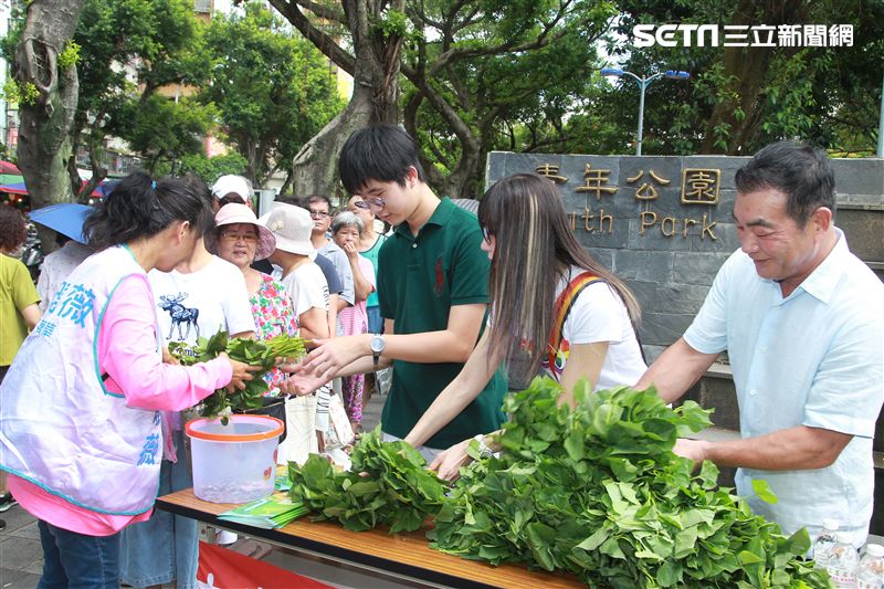 金瑞瑤獨子許凱文自己栽培有機地瓜葉義賣做公益。（記者邱榮吉/攝影）
