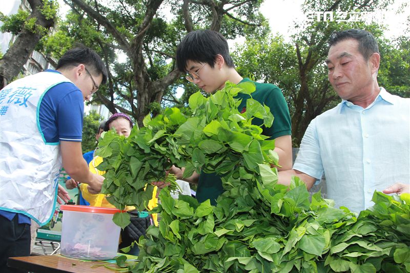 金瑞瑤獨子許凱文自己栽培有機地瓜葉義賣做公益。（記者邱榮吉/攝影）