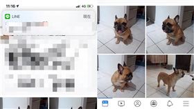 截圖,人妻,秘密,藤條（爆廢公社二館）