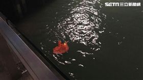 香港,反送中,五星旗（圖／翻攝自PassionTimes 熱血時報授權提供）