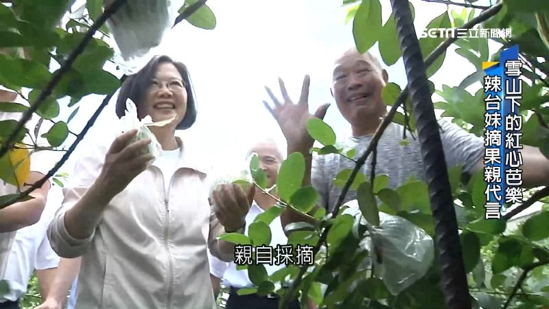 紅心芭樂吃軟不吃硬　辣台妹代言加持