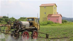 金門縣,秋行軍蟲,高粱田防治,長期抗戰,防疫