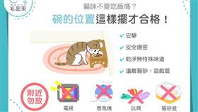 名家專用／毛起來MAOUP（勿用）
