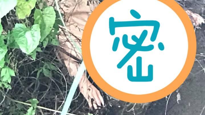 鬼月驚魂！公墓水溝竟驚見「紅唇女」
