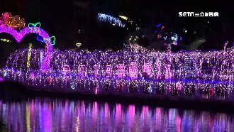 七夕夜光秀！宜蘭版藍眼淚甜蜜綻放