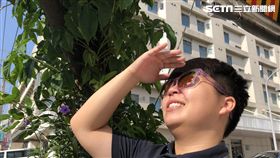 光田綜合醫院,眼科,蔡明輝,眼睛,太陽光,視網膜,輻射