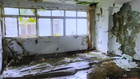 它吞掉了整棟房子…恐怖樹噬屋成傳說
北新公寓