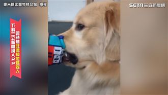 阿金抓周只愛計算機　網讚：超有錢途