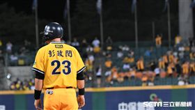 ▲中信兄弟彭政閔。（圖／記者王怡翔攝影）