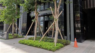 3歲兒遭惡霸犬攻擊　孕母搏鬥救出兒