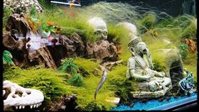 爆怨公社,水族箱,道士,鬼月,玩家