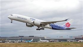 台灣,蔡英文,華航機師,降落北京,煽惑(圖/華航提供)中央社