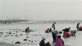 苗栗縣,白沙灣,野蚵盛產期,賺外快,颱風來襲,安全(圖/陳清榮提供)中央社