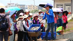 屏東縣,莫拉克,養殖漁業重創,返鄉,重建(圖/)