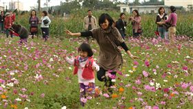 暖冬遊。記者唐家興／攝影