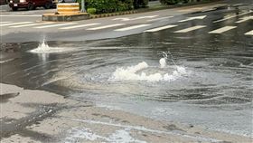 台中自來水管破裂　路面隆起
