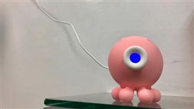 全家慘被情趣用品「偷窺」！她崩潰：還我章魚（圖／Dcard）