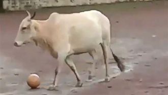 防守開關被打開！神牛加入球賽PK人