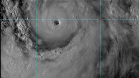 颱風,利奇馬,向日葵衛星,颱風眼（圖／翻攝自RAMMB）