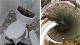 嚇壞老夫婦！神雷打中化糞池　廁所馬桶「恐怖爆炸」碎滿地（圖／翻攝自A-1 Affordable Plumbing inc 臉書）