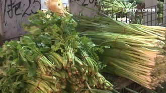 快來備貨！葉菜類小漲　花椰菜貴桑桑